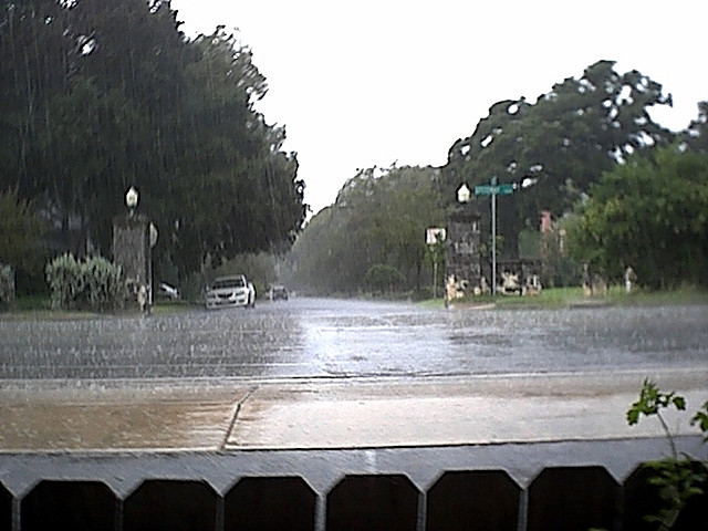Rain