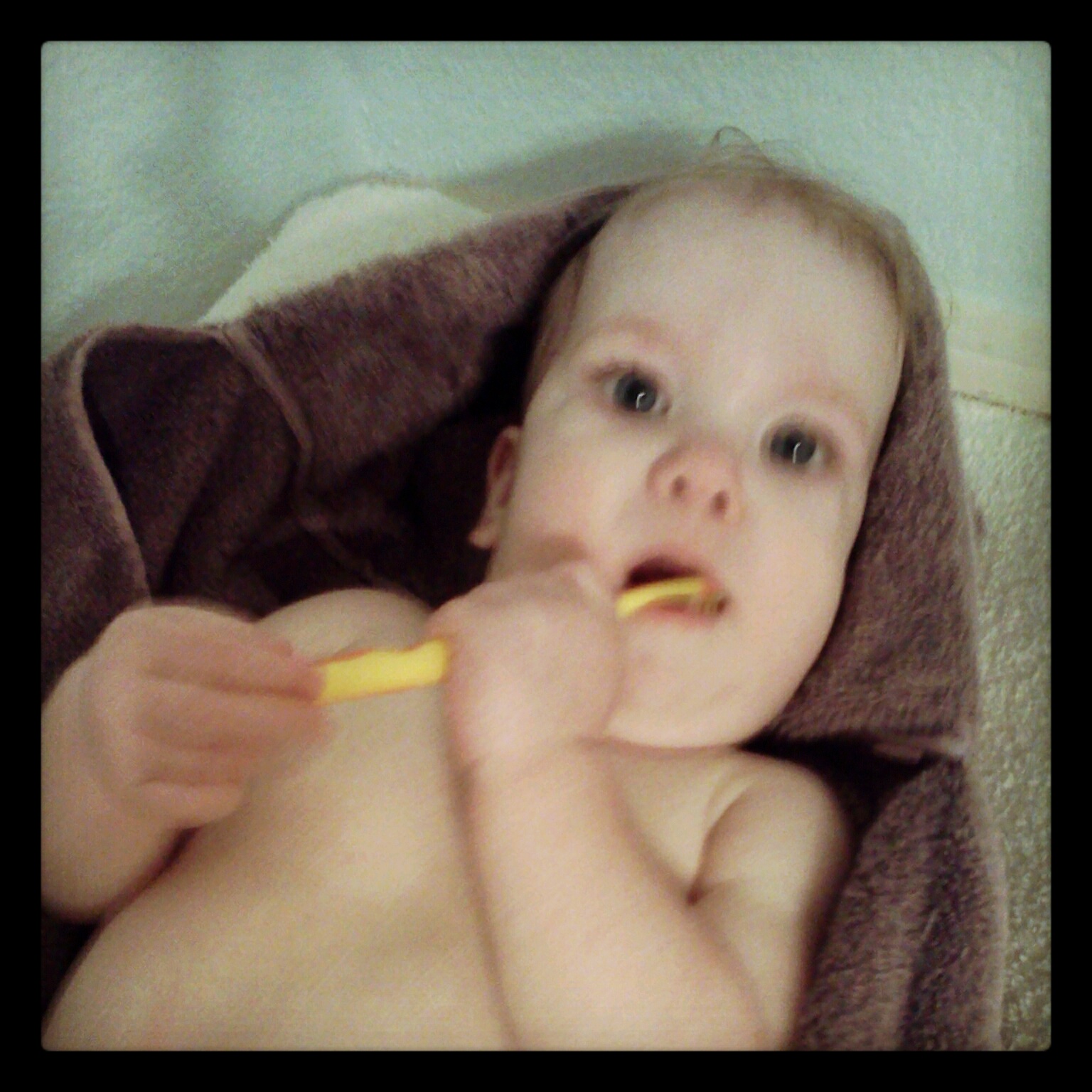Molly loves to brush her teeth.