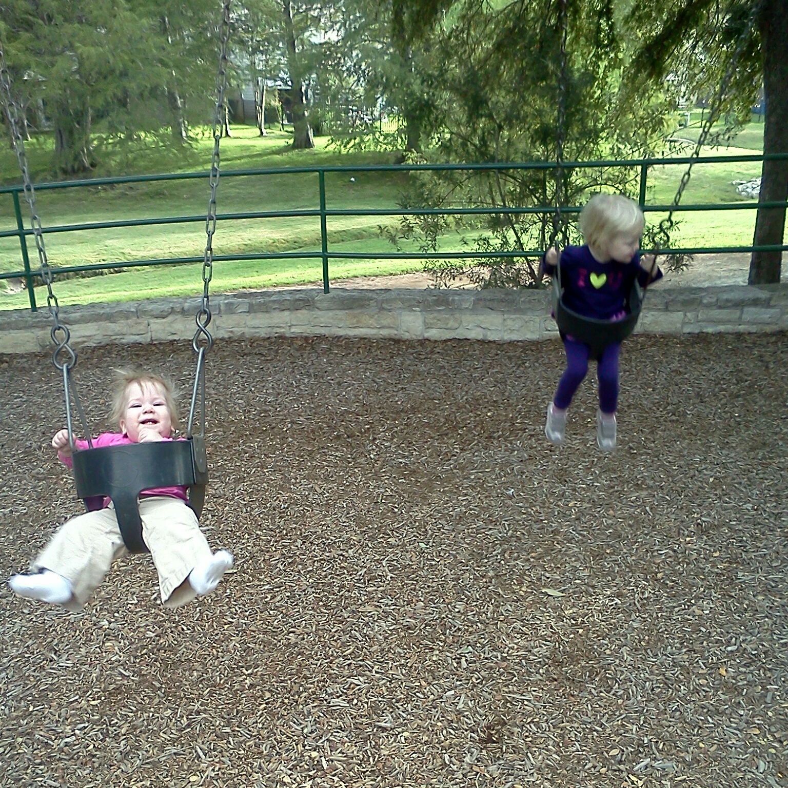 Double swing